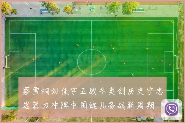 蔡雪桐刘佳宇五战冬奥创历史宁忠岩蓄力冲牌中国健儿备战新周期